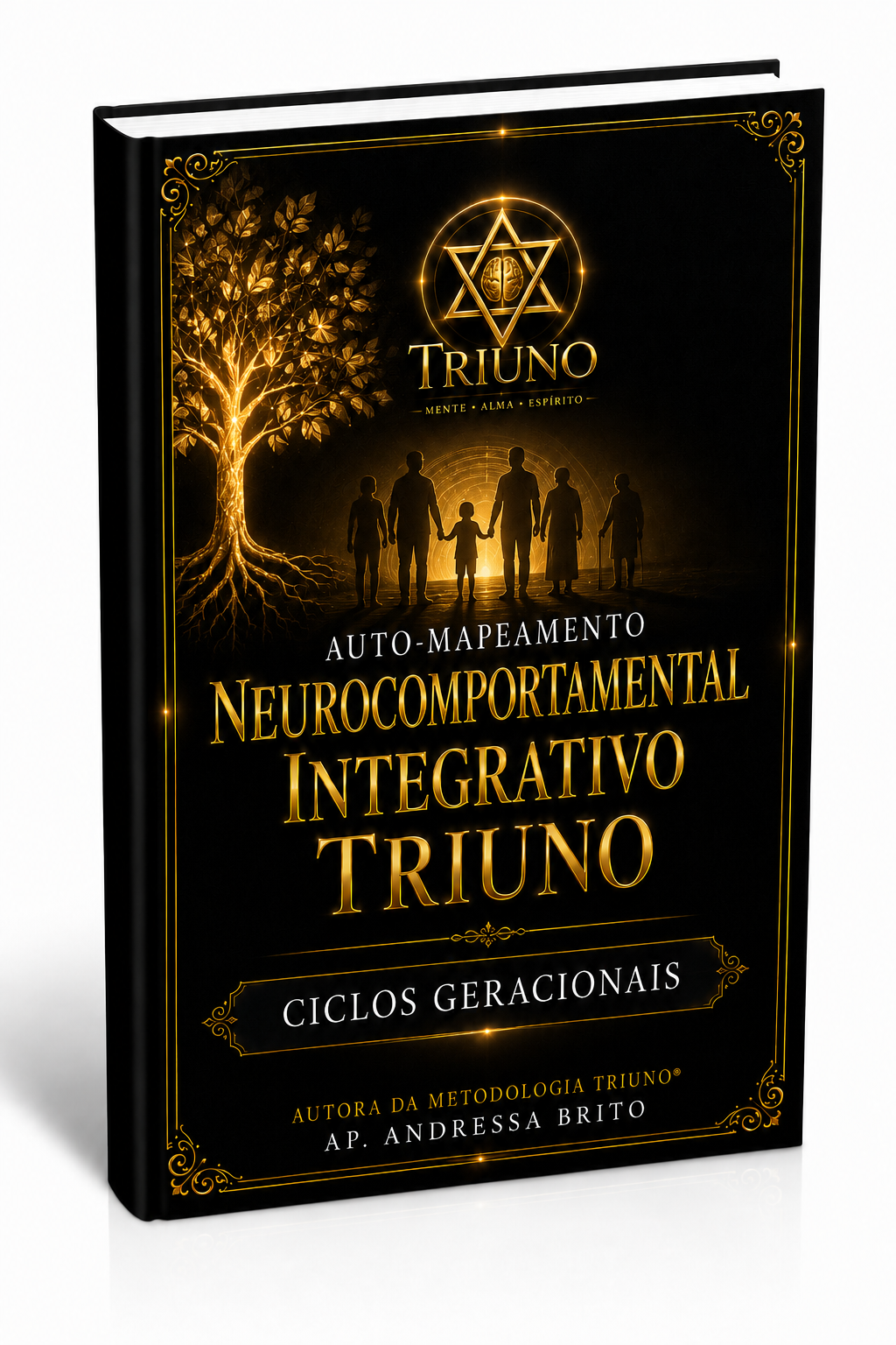 Capa do Automapeamento Triuno® Padrões Geracionais
