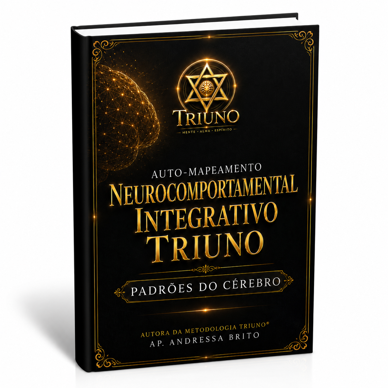 Capa do Automapeamento Triuno® Padrões do Cérebro